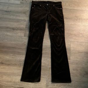 Chocolate velvet straight leg 7 for all Mankind pants